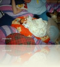 Bild 3 