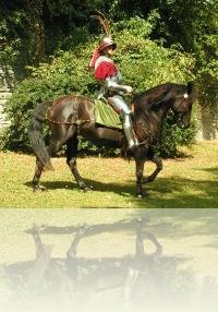 Bild 6 Stadtreiter Soest 2009