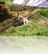 Bild 1 